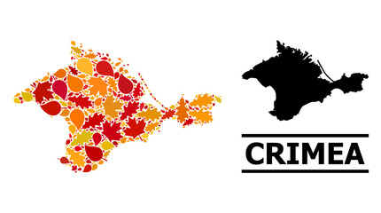 Obraz premium Mosaic autumn leaves and solid map of Crimea. Vector map of Crimea is composed with scattered autumn maple and oak leaves. Abstract geographic plan in bright gold, red, brown colors for map of Crimea.