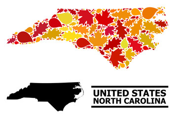 Mosaic autumn leaves and usual map of North Carolina State. Vector map of North Carolina State is organized from scattered autumn maple and oak leaves. Abstract territory scheme in bright gold, red,