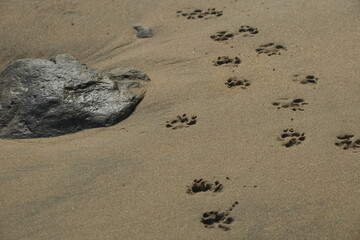 En la playa