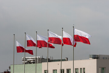 Flaga Polski  - obrazy, fototapety, plakaty