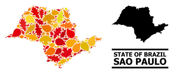 Obraz premium Mosaic autumn leaves and usual map of Sao Paulo State. Vector map of Sao Paulo State is shaped of scattered autumn maple and oak leaves. Abstract territory plan in bright gold, red,