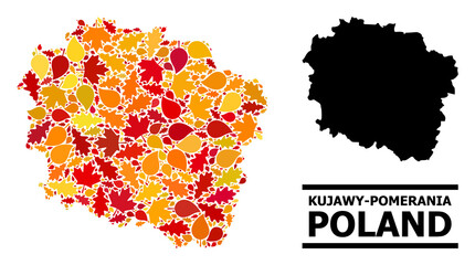 Mosaic autumn leaves and usual map of Kujawy-Pomerania Province. Vector map of Kujawy-Pomerania Province is done from randomized autumn maple and oak leaves. Abstract territorial plan in bright gold,