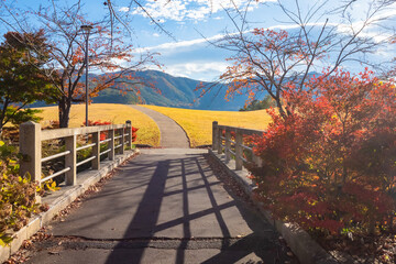 Japan. Autumn in Kawaguchiko. The path goes off into the distance. A bridge with a stone railing and a path against the mountains. Fuji. Mountain landscape of Japan. Travel to Japan in autumn.