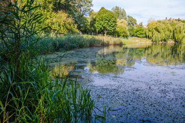 City park in the warm and sunny day during the autumn season. Landscape fulfilled of sunlight