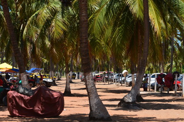 praia do gunga
