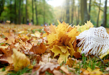 Ceramic Cup on autumn leaves and white wool scarf