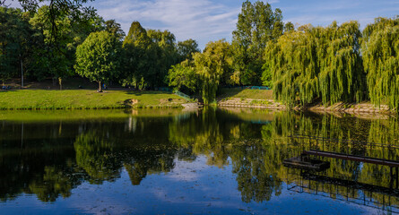 Fototapeta na wymiar City park in the warm and sunny day during the autumn season. Landscape fulfilled of sunlight