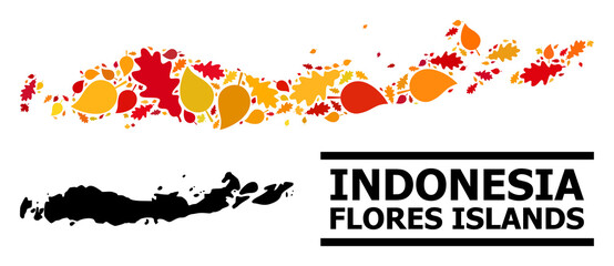 Mosaic autumn leaves and solid map of Indonesia - Flores Islands. Vector map of Indonesia - Flores Islands is made with scattered autumn maple and oak leaves.