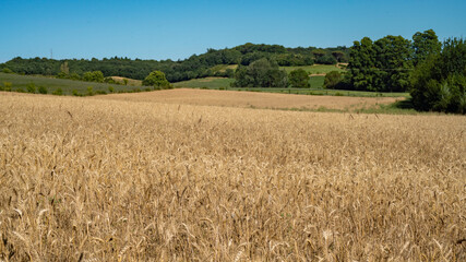 
Fields of cultivation under the spring sun