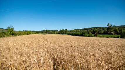 
Fields of cultivation under the spring sun