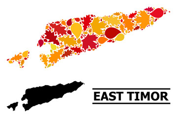 Mosaic autumn leaves and usual map of East Timor. Vector map of East Timor is formed with scattered autumn maple and oak leaves. Abstract territorial plan in bright gold, red,