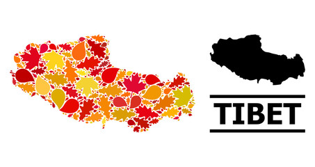 Mosaic autumn leaves and usual map of Tibet. Vector map of Tibet is shaped from scattered autumn maple and oak leaves. Abstract territorial plan in bright gold, red, brown colors for map of Tibet.