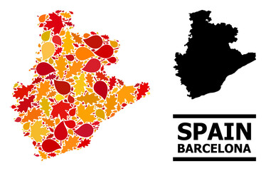 Obraz premium Mosaic autumn leaves and usual map of Barcelona Province. Vector map of Barcelona Province is done from scattered autumn maple and oak leaves. Abstract territorial scheme in bright gold, red,