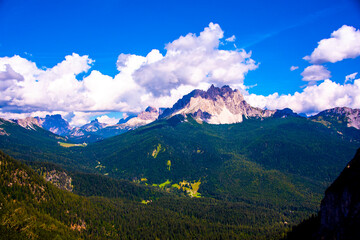 Fototapeta premium pine forests and pink dolomites among white clouds