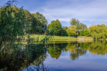 Obraz premium City park in the warm and sunny day during the autumn season. Landscape fulfilled of sunlight
