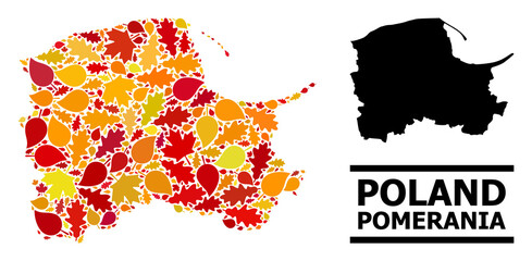Mosaic autumn leaves and solid map of Pomerania Province. Vector map of Pomerania Province is organized with randomized autumn maple and oak leaves. Abstract territory scheme in bright gold, red,
