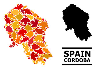 Mosaic autumn leaves and solid map of Cordoba Spanish Province. Vector map of Cordoba Spanish Province is made of random autumn maple and oak leaves. Abstract territory scheme in bright gold, red,