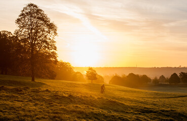 Obraz premium Glorious mornings