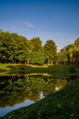 City park in the warm and sunny day during the autumn season. Landscape fulfilled of sunlight