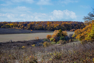 autumn landscape in the mountains