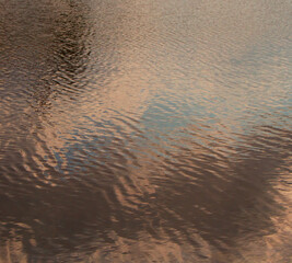 ripples in the water