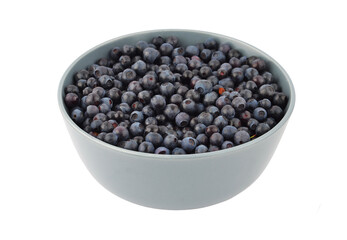 Blueberry on white