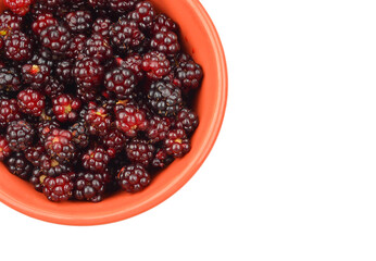 Blackberry (rubus) in bowl