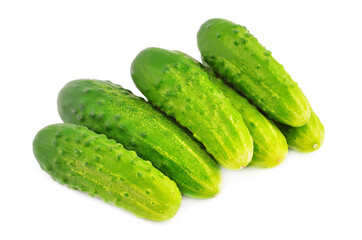 Green cucumber gherkin