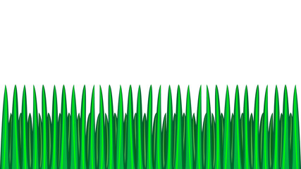 green grass seamless border, isolated over white, illustration
