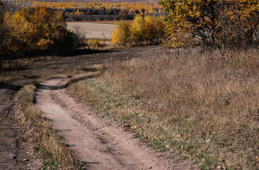 path in the autumn forest