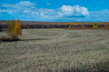 autumn landscape with sky