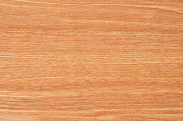 Fototapeta premium Wooden textured background