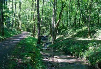 Paseo por el parque natural de Pagoeta