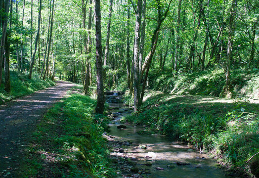Paseo por el parque natural de Pagoeta
