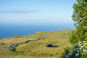 Obraz premium Walk on the Azores archipelago. Discovery of the island of sao jorge, Azores. Velas