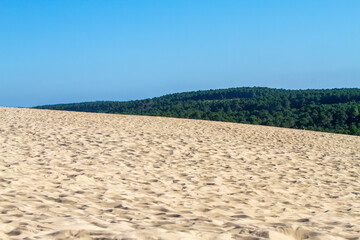 Fototapeta na wymiar Water, trees and sand at the Dune of Pilat
