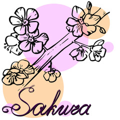 Sakura flowers and branches , cliparts drawn by hand, contour drawing isolated black and white on a white background