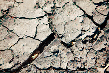 drought cracked soil in the hot summer 