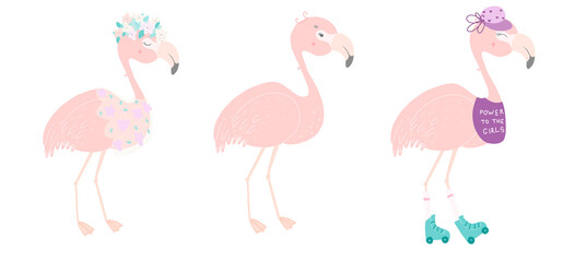 Flamingo, flat vector illustration. Vector illustration set.