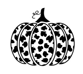 Vector Leopard Pumpkin
