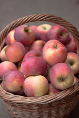 Fresh ripe red apples in a wicker basket. Autumn harvest