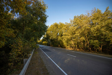 Fototapeta na wymiar Road in the autumnal forest. Autumn landscape with road and beautiful colored trees.