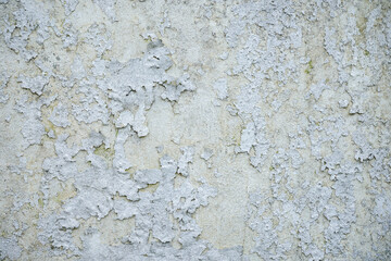 the old white plastered wall with peeled off paint