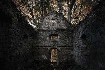 Old scary ruin in the deep forest