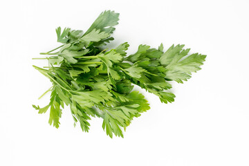 Green fresh parsley on the white background.