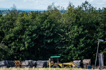 Fototapeta na wymiar Brennholzlager auf Wiese 