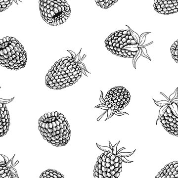 Organic collection. Vector hand drawn summer seamless pattern with raspberry on a white background