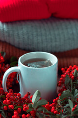 White cup with tea, rowan and sweaters.  Autumn layout, cozy atmosphere