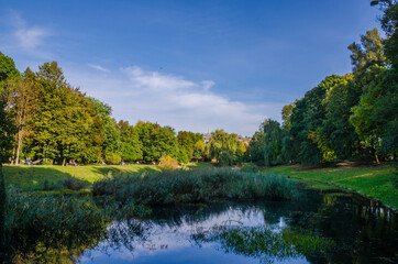 City park in the warm and sunny day during the autumn season. Landscape fulfilled of sunlight