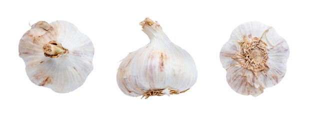 Garlic at different angles isolated on a white background